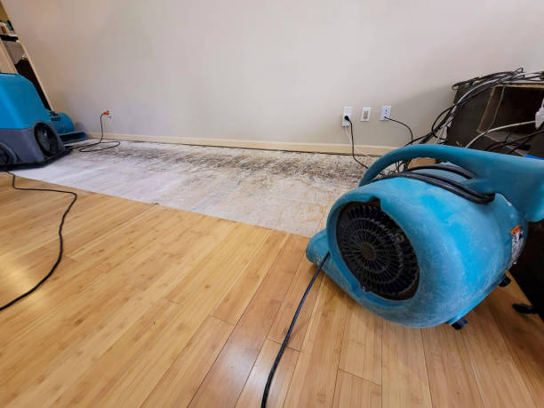 Reliable Flood Damage Restoration contractor in Jacksonville, IL by Hirex Water Damage