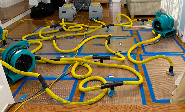 Professional Flood Damage Restoration technician working in Jacksonville, IL
